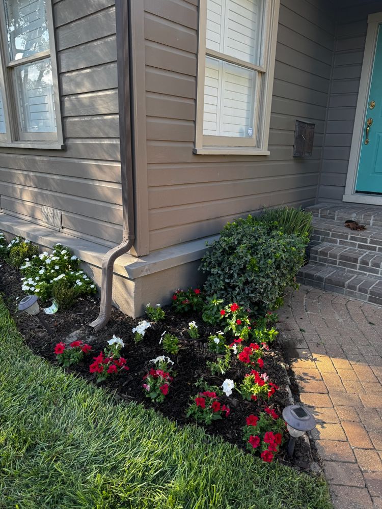 Lawn & Landscaping for Exellent lawn services in San Antonio, TX