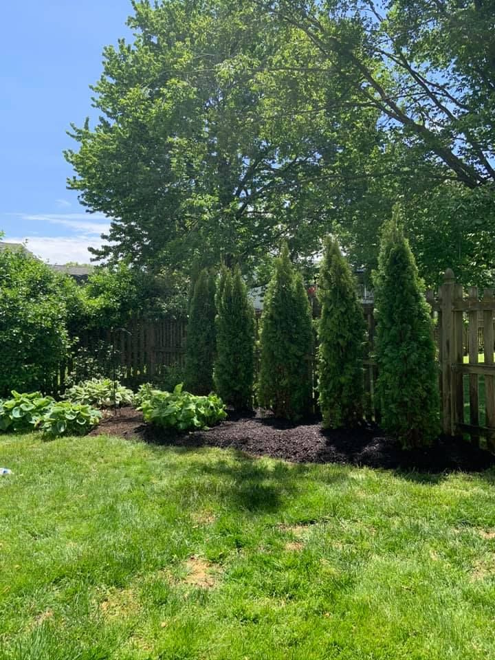 All Photos for Cutter's Corp. in Randallstown, MD