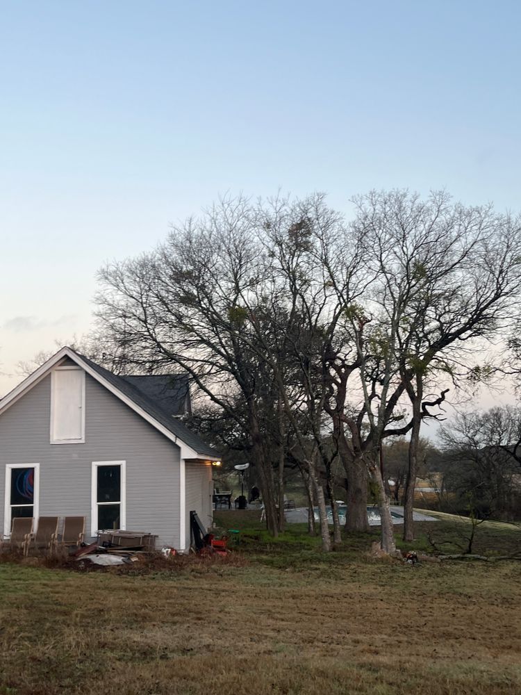 All Photos for Marks Tree Service in Fort Worth, TX