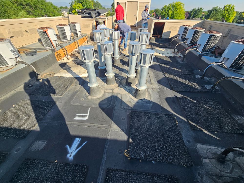 All Photos for Distinctive Home Renovations in Longmont, CO