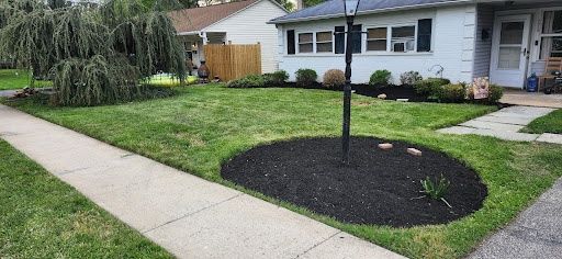 All Photos for Green Lawn Care in Ambler, PA