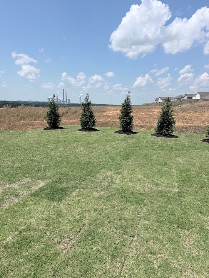 Transform your outdoor space with our expert landscape design and installation service, combining creative vision and skilled craftsmanship to create a stunning, functional garden tailored to your unique preferences and needs. for Buddy’s Outdoor Solutions in Rome, GA