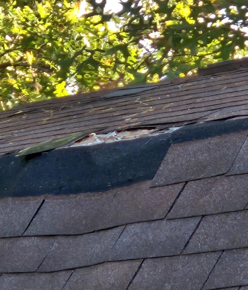 All Photos for Dead Tree General Contracting in Carbondale, Illinois