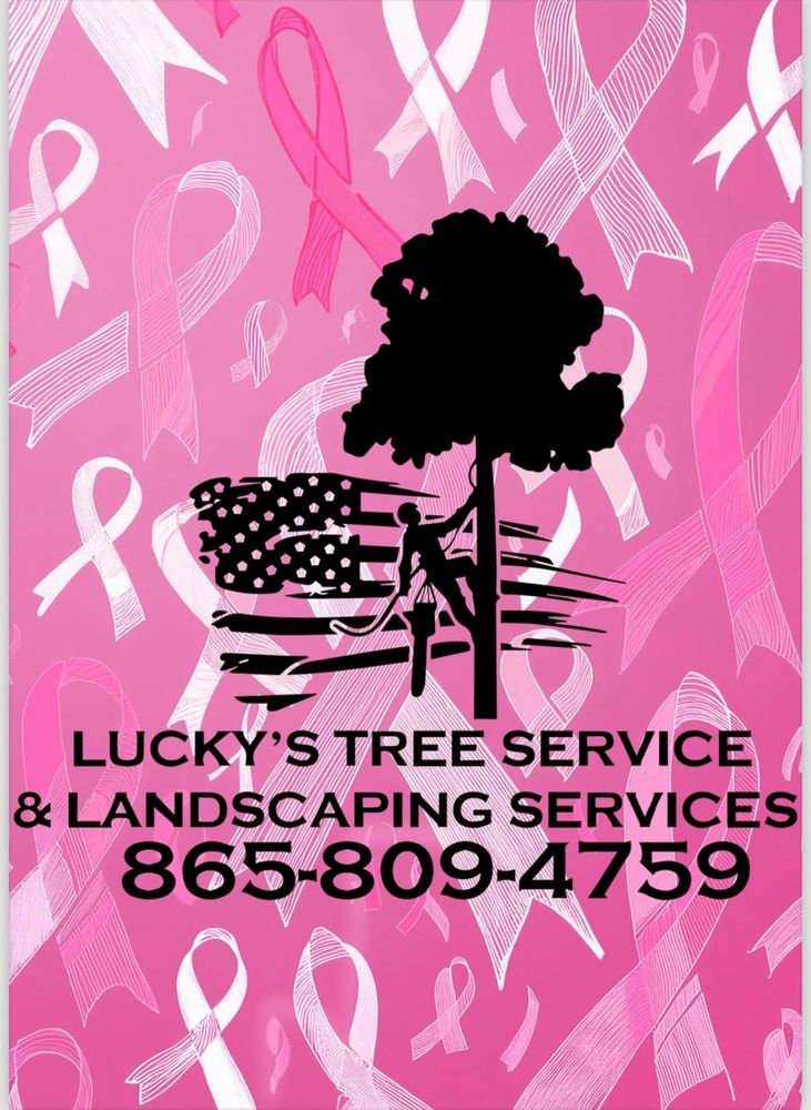 All Photos for Lucky’s Tree Removal and Landscape Services in Knoxville, TN