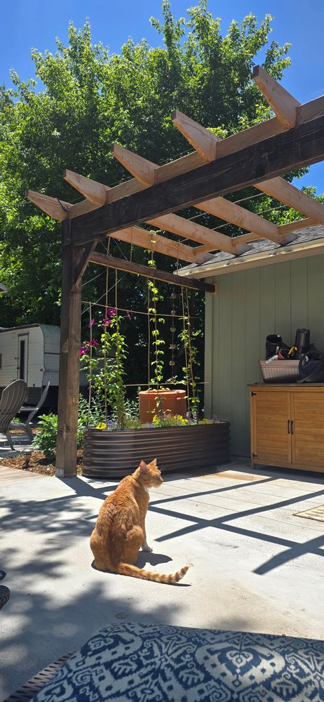Design Around Your Life — We translate dreams into outdoor rooms that fit how you live, delivering season-long comfort and thoughtful layouts. for Line of Sight Development in Ogden, UT