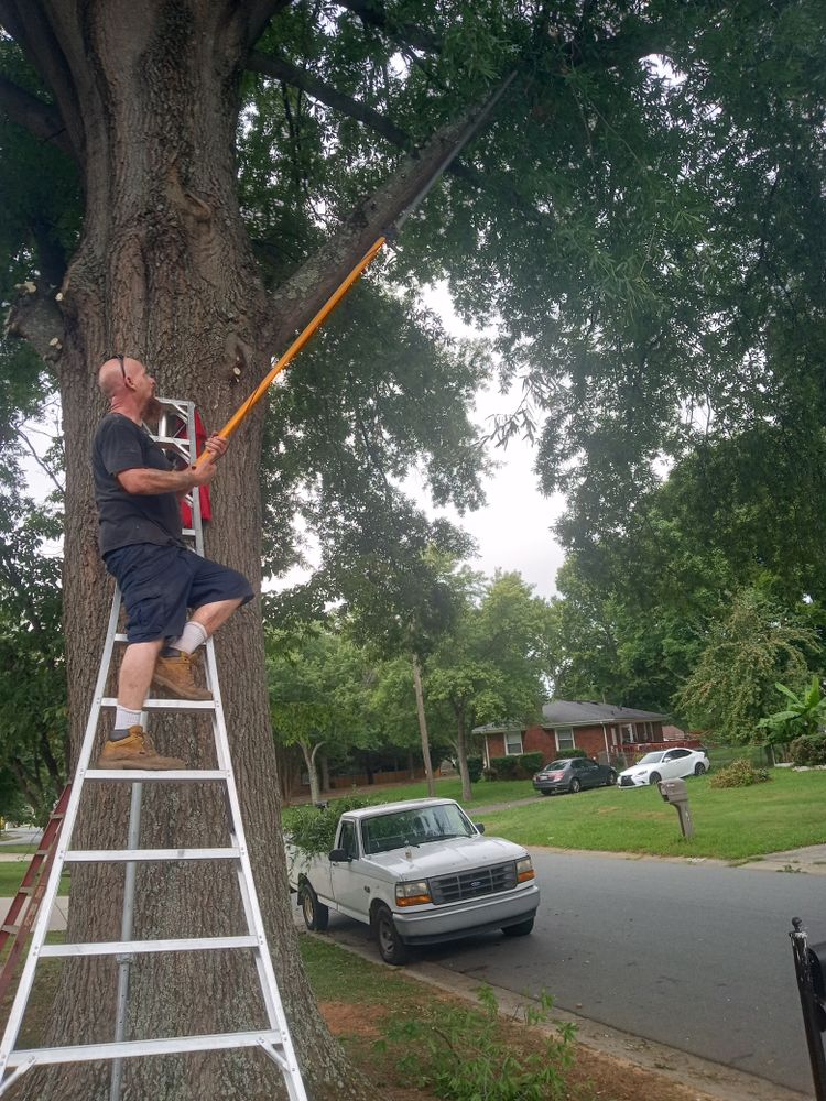 All Photos for Oakhurst Landscaping and Tree Service in Charlotte, NC