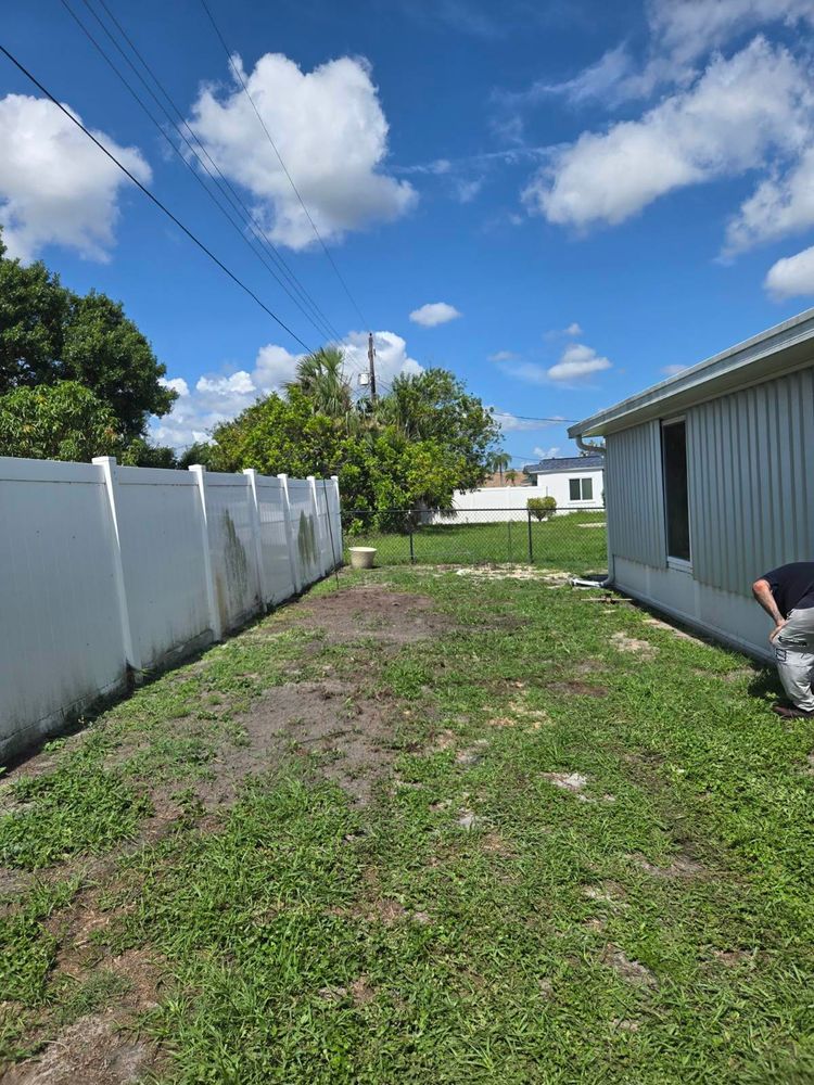 All Photos for TREE BOYS in Ruskin, FL