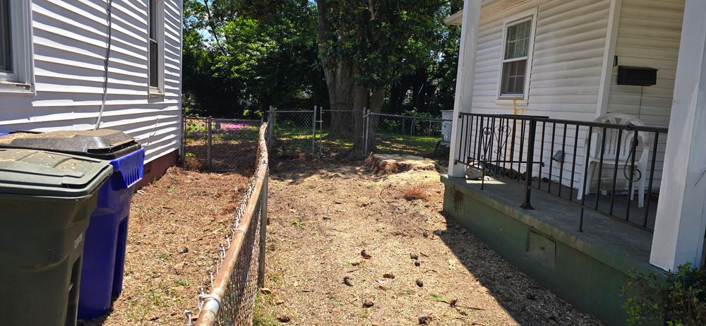 All Photos for Beach Tree Care in Virginia Beach, VA
