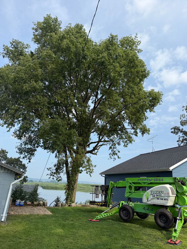 All Photos for Fransen's Tree Service  in Freeport, IL