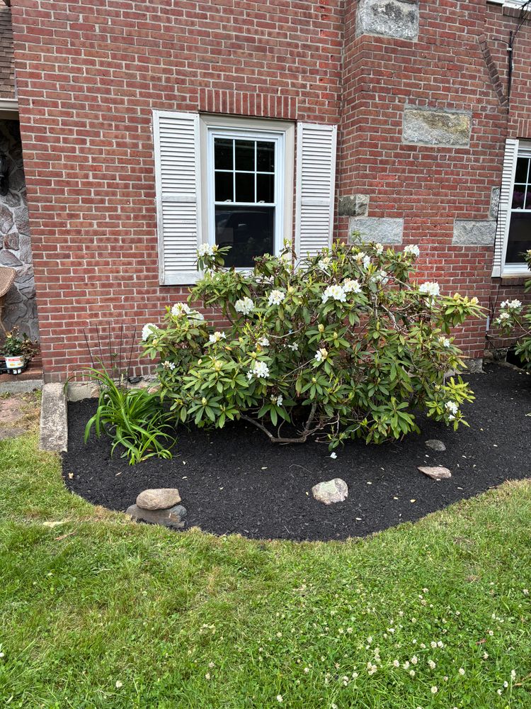 All Photos for JAD Excavating LLC in Goshen, CT