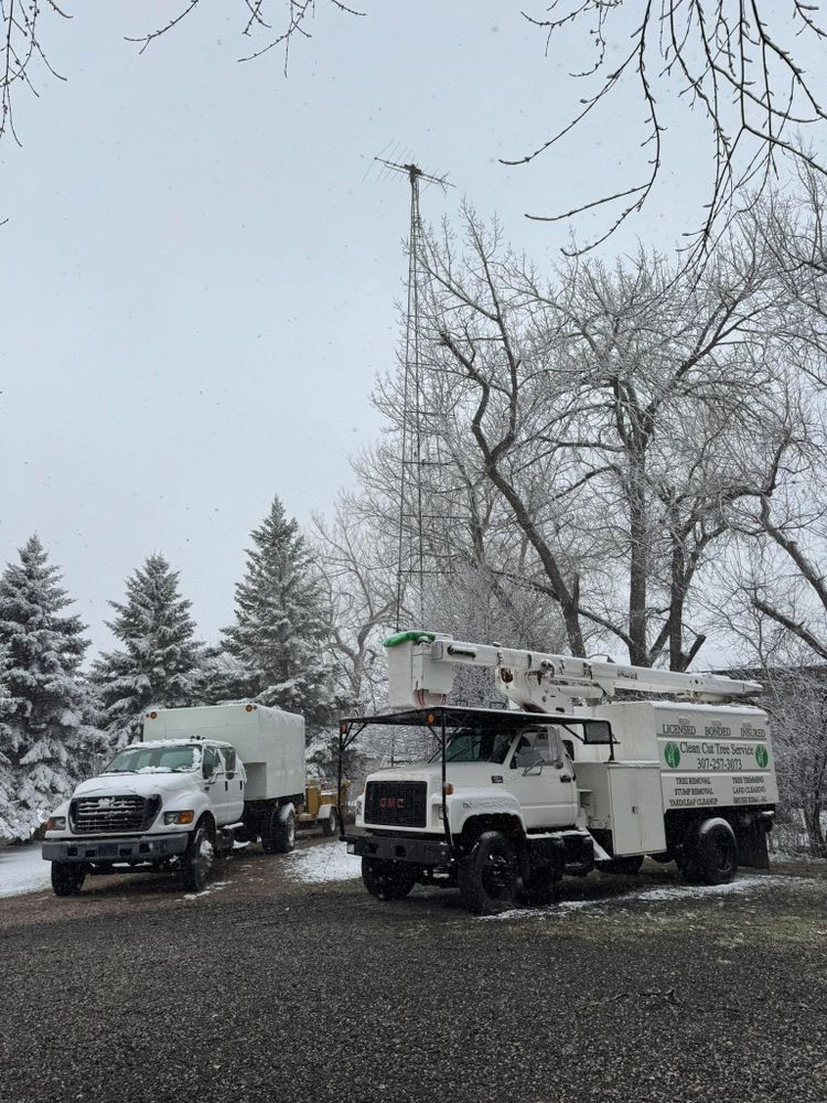 All Photos for Clean Cut Tree Service in Gillette, WY