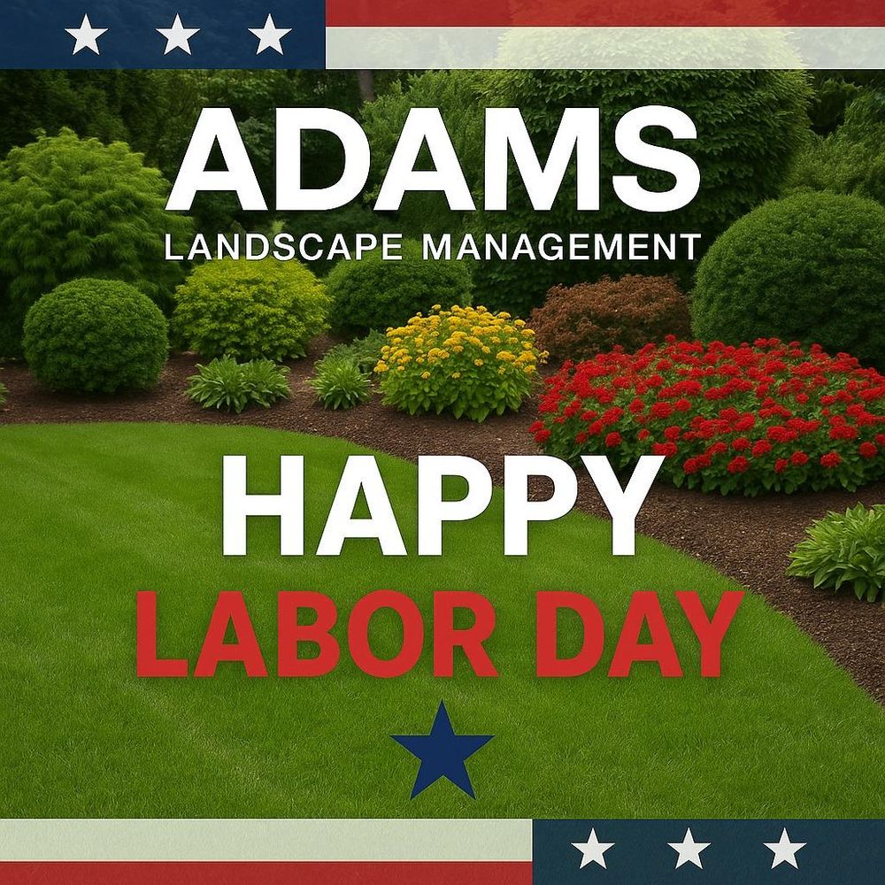 All Photos for Adams Landscape Management Group LLC. in Loganville, GA