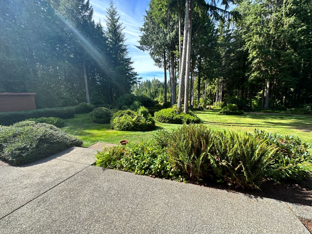 Our Cleanups & Maintenance service offers regular visits to keep your yard looking pristine year-round. We handle lawn mowing, trimming, weeding, and debris removal for a worry-free outdoor space. for SAW Enterprises  in Arlington, WA