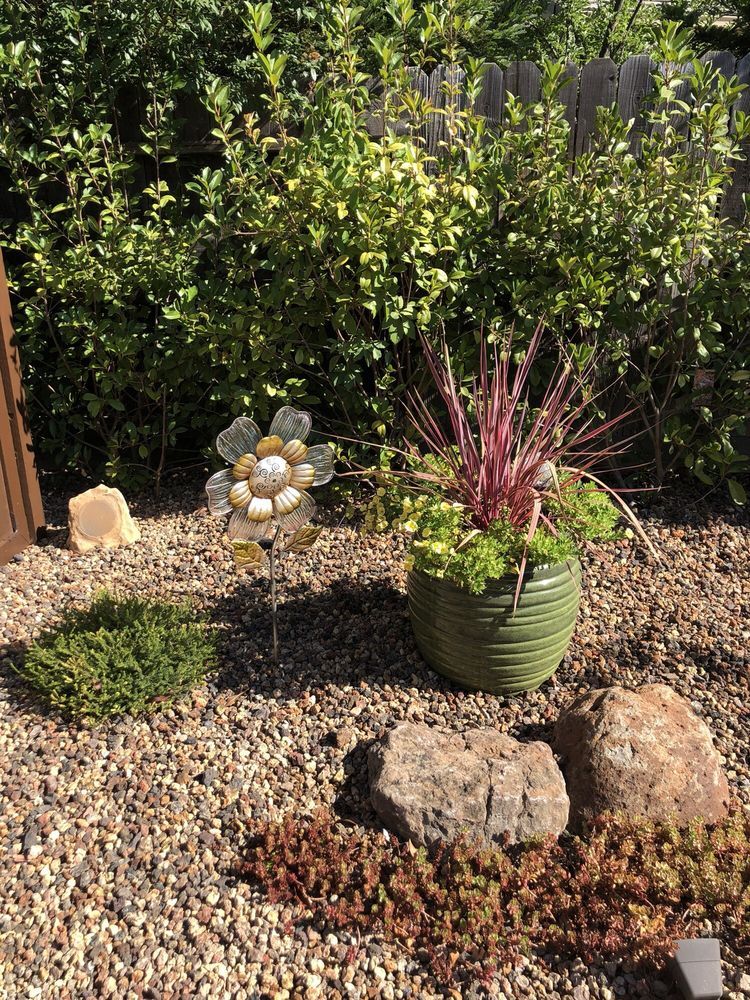 All Photos for New Vision Landscape in Folsom, CA