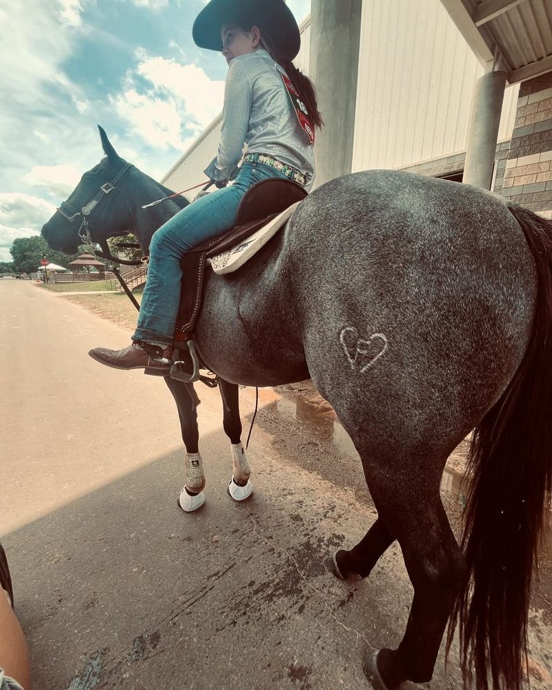 Barns for Florida Native Equestrian Services in Polk, FL