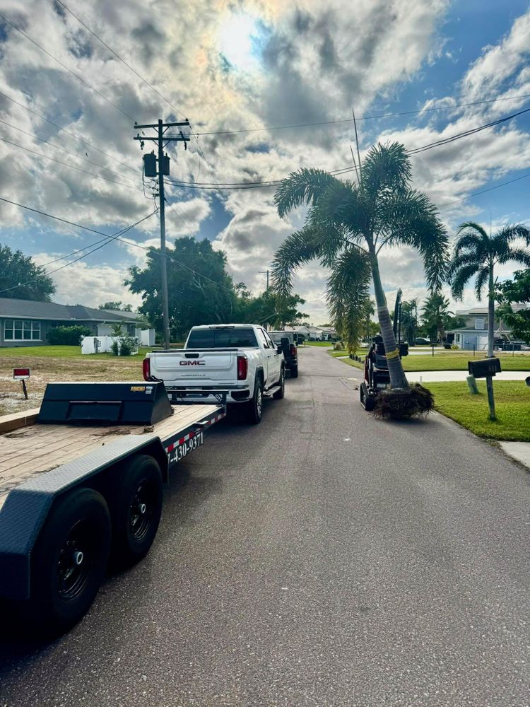 All Photos for Shoreside Property Services in Apollo Beach, FL