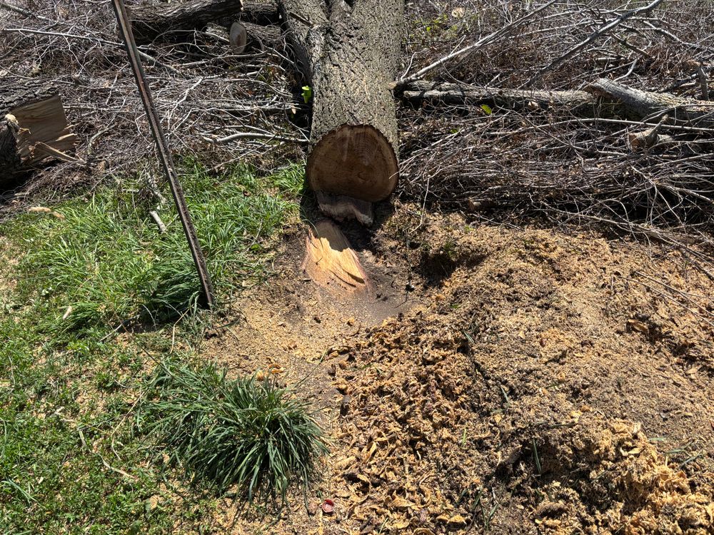 All Photos for Conrad's Stump Removal in Columbus, IN