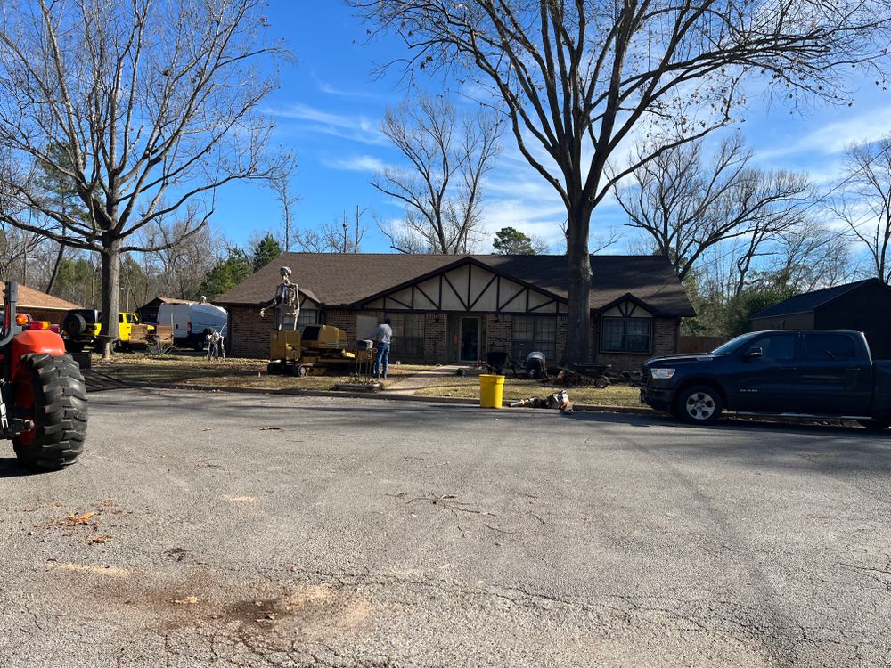 All Photos for JC Land and Tree Service in Kilgore, TX