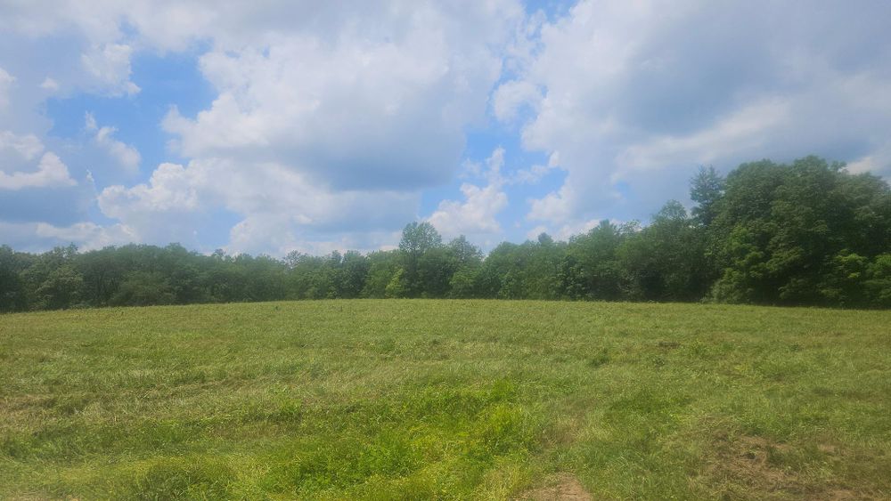All Photos for B&B Land Management in Jamestown, TN