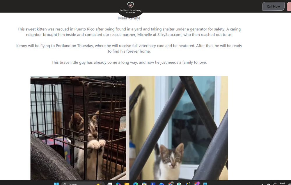 All Photos for Premier Rockwall & Excavating in Utah County, UT