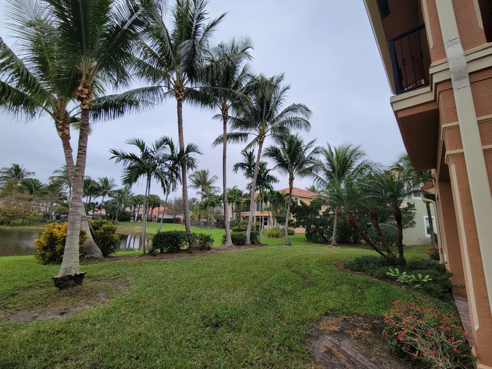 All Photos for L & J Palm Tree & Lawn Care Services in Jupiter, FL