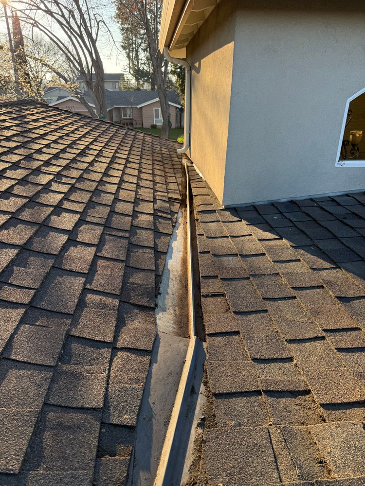 Moss Removal  for GGG Home Services in San Jose, CA