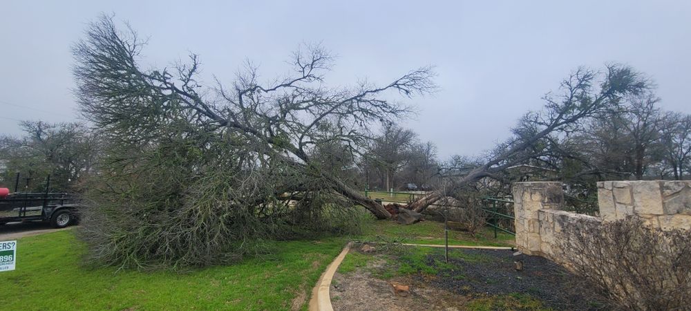 All Photos for Texican JLS in Manor, TX