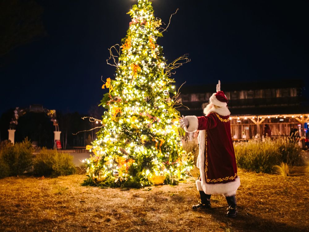 All Photos for Holiday Lighting Solutions in Huntsville, AL