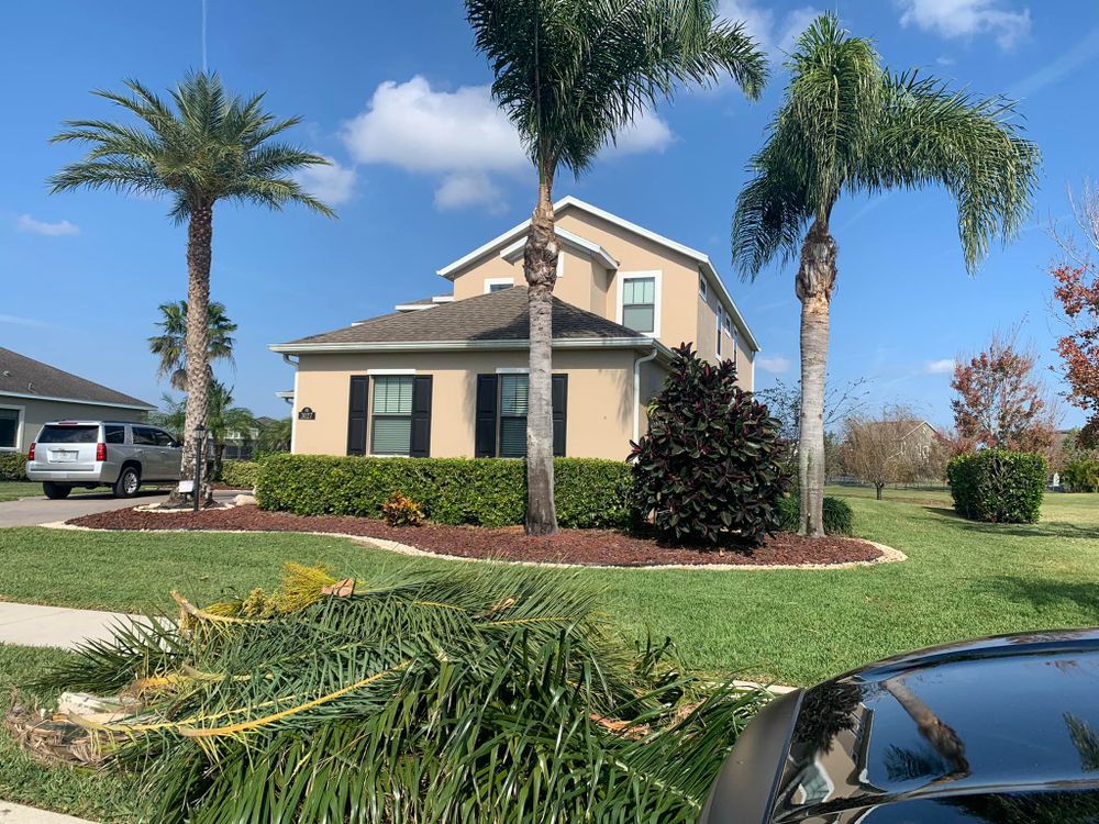 Fall Clean Up for Tolliver’s landscape LLC in Palm Bay, FL