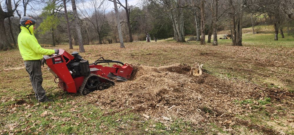 All Photos for Tree Fellers in Sumner County, TN