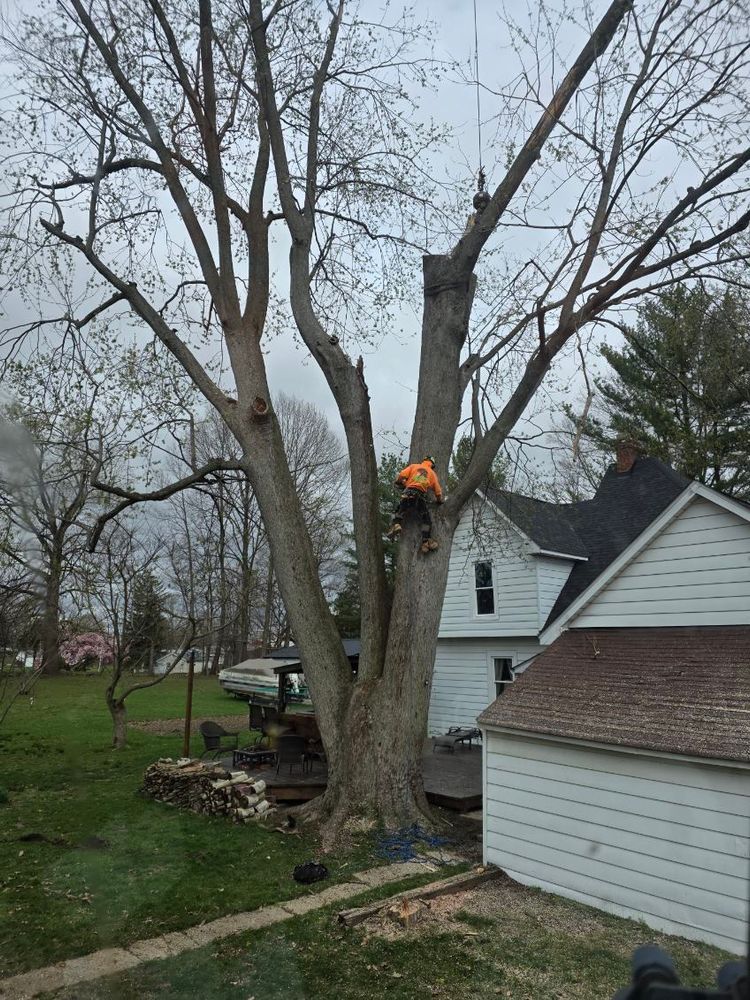 All Photos for Advanced Tree Solutions in Rockville, IN