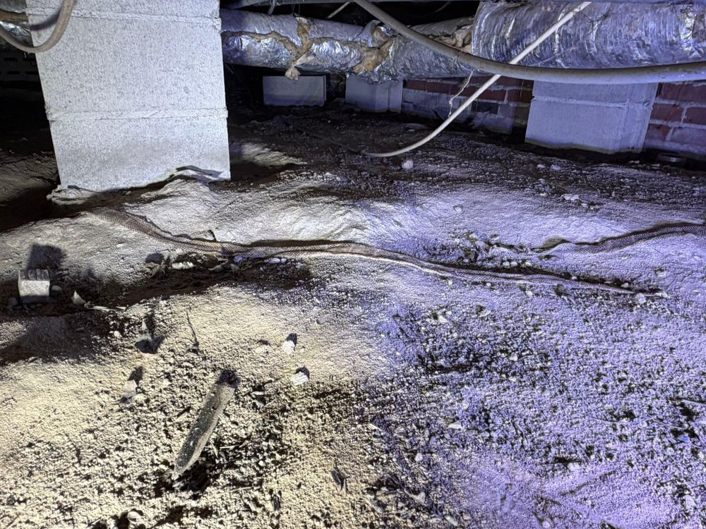 All Photos for VIP Plumbing in Cannon, GA