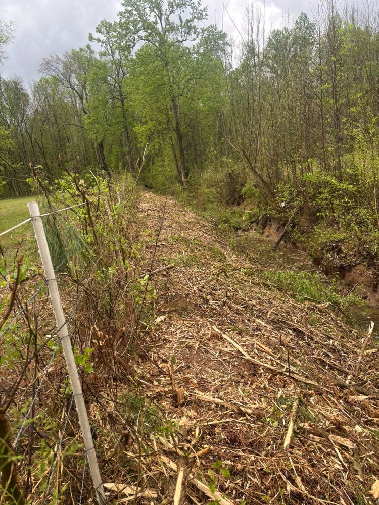 Our land clearing service removes trees, brush, stumps, and debris efficiently, preparing your property for construction, landscaping, or drainage improvements with safe equipment operation and dependable results. for Ross Excavation & Land Development in Middleton, TN