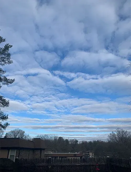 All Photos for R Merkli Inc. in Mount Vernon , VA