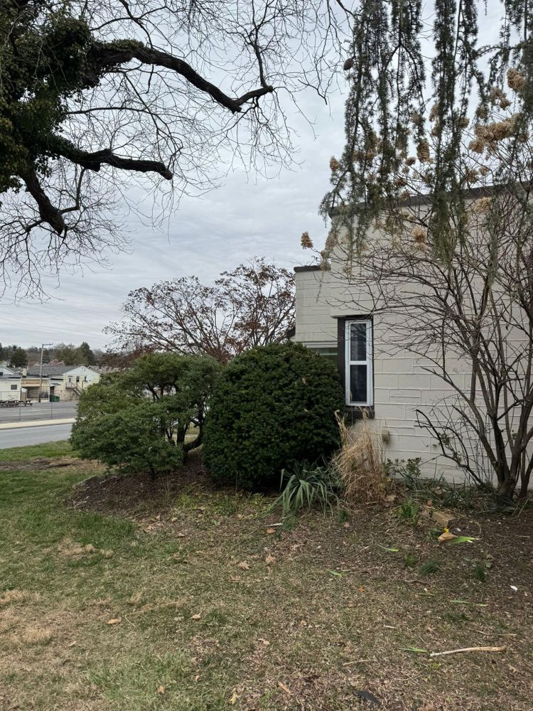 All Photos for Landscape & Lawn Care Pros in Temple, PA