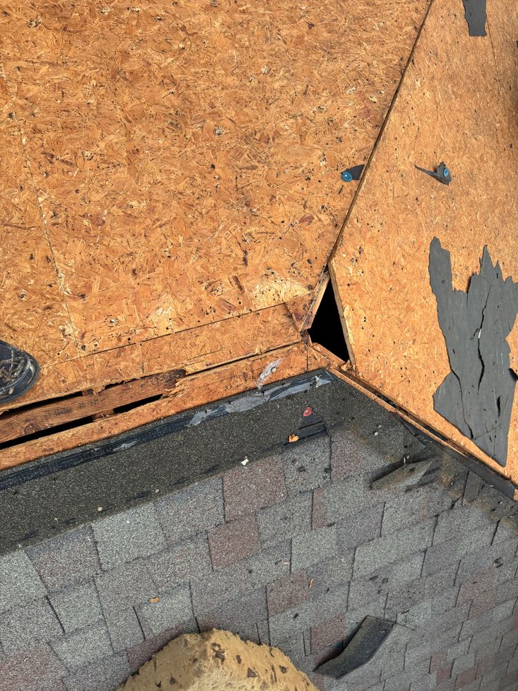 All Photos for FNS Exterior Consulting LLC, Powered By Live OAK in Cumming, GA