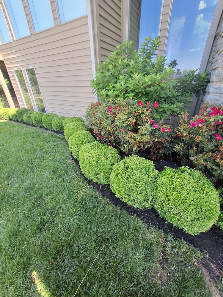 All Photos for Cincinnati’s Finest Landscape Services LLC in Cincinnati, OH
