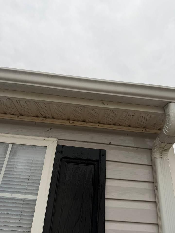 All Photos for JB Applewhite's Pressure Washing in Anderson, SC