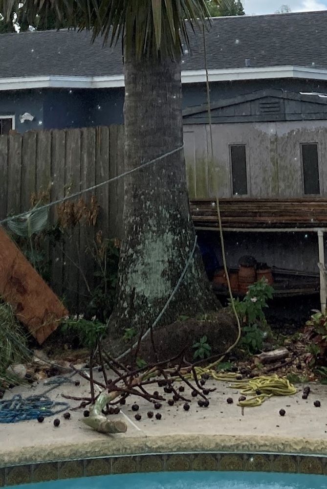 All Photos for Busy Beaver Stump Removal, Inc in Clearwater, FL