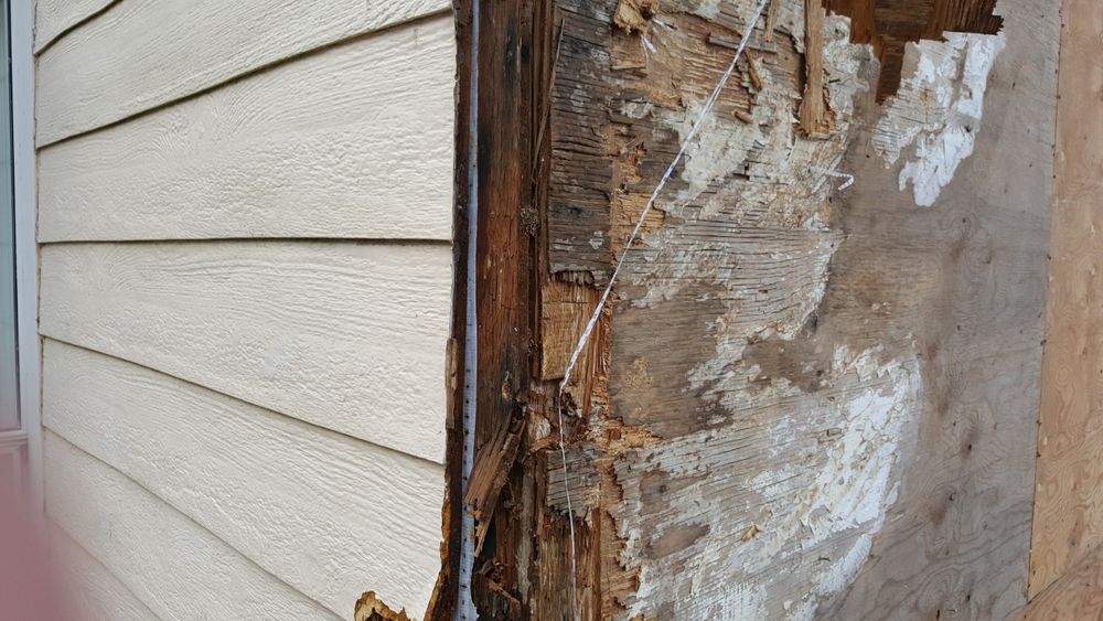 All Photos for Home Pros in Maple Falls, WA