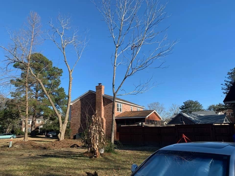 Tree Removal for Coastal Tree & Stump in Charleston, SC