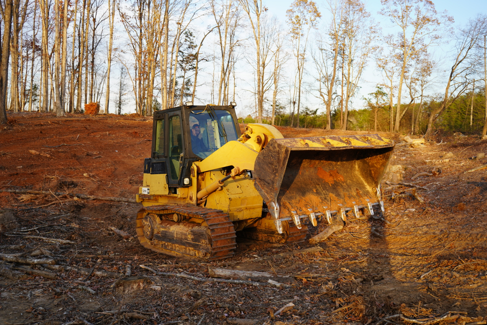 All Photos for Fisher Hauling And Grading in Rockingham County, NC
