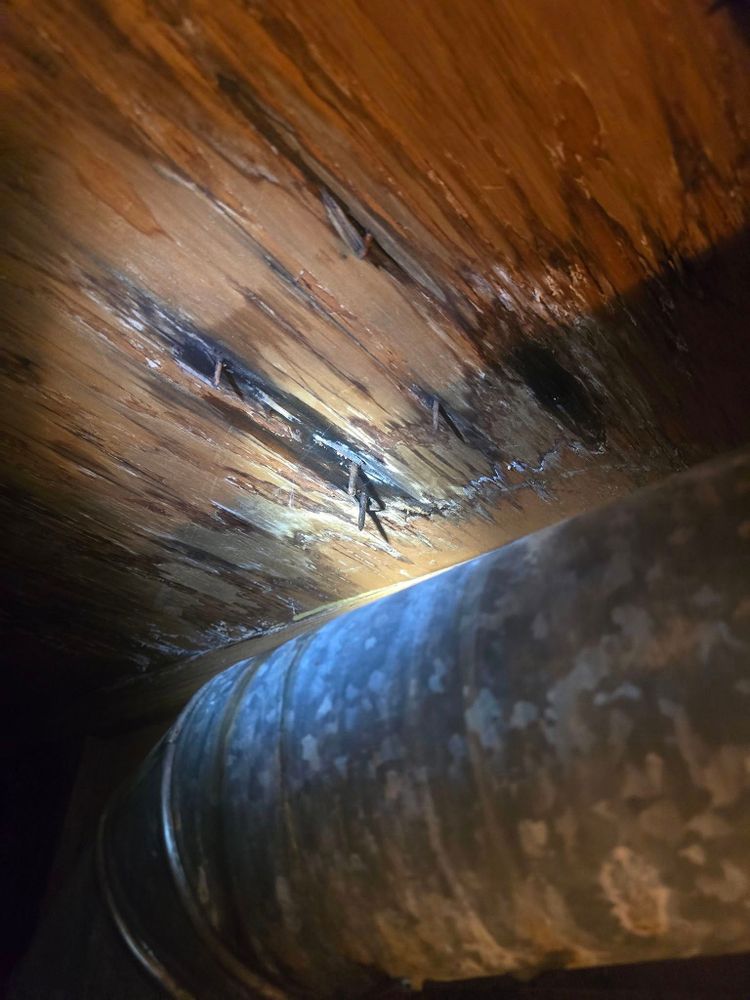 All Photos for Donovan & Sons in Fredericksburg, VA