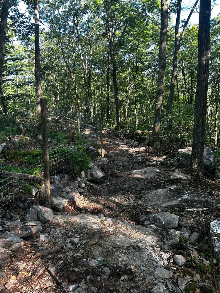 Excavating for Pine Mountain Restoration, LLC Excavation and Fencing Contractor in Howard, PA