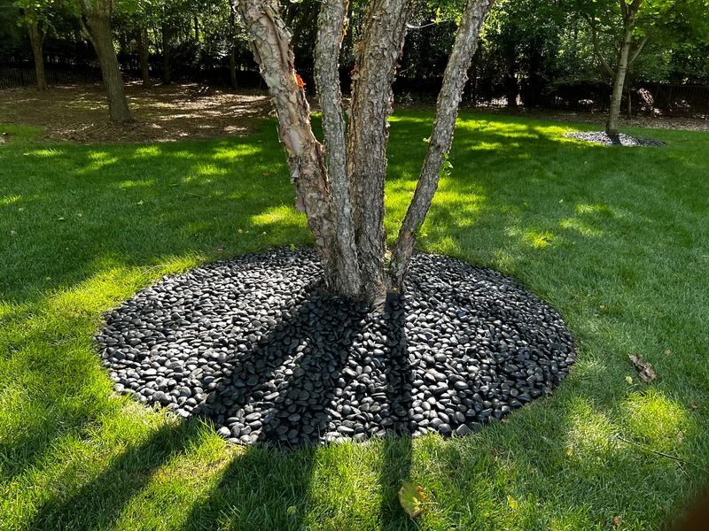 All Photos for Jem Landscaping in Wendell, NC