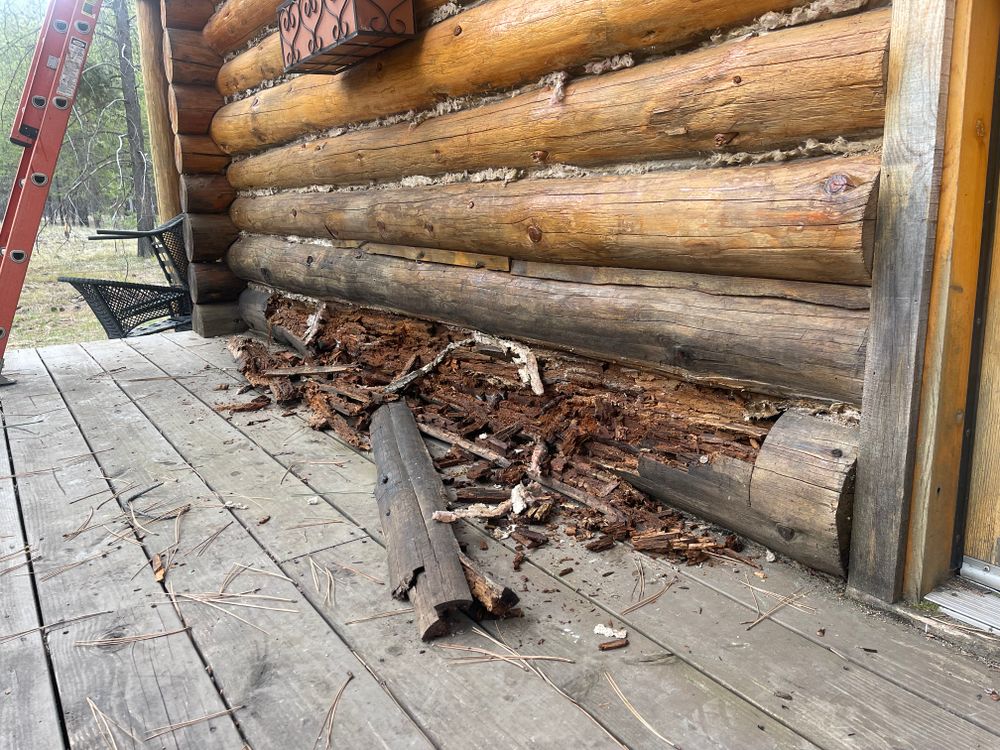 All Photos for True Blue Logworks LLC in Corvallis, MT