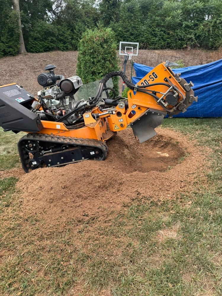 Jills Stump Grinding and Firewood team in Shelton, CT - people or person