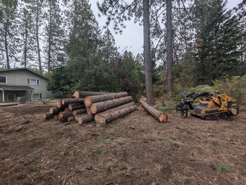 Land clearing  for King & Sons Urban Forestry in Coeur d'Alene, ID