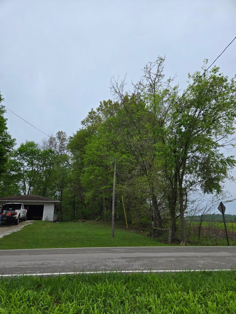 WCM 4 30 25 for Lightning Tree Service in Corydon, IN