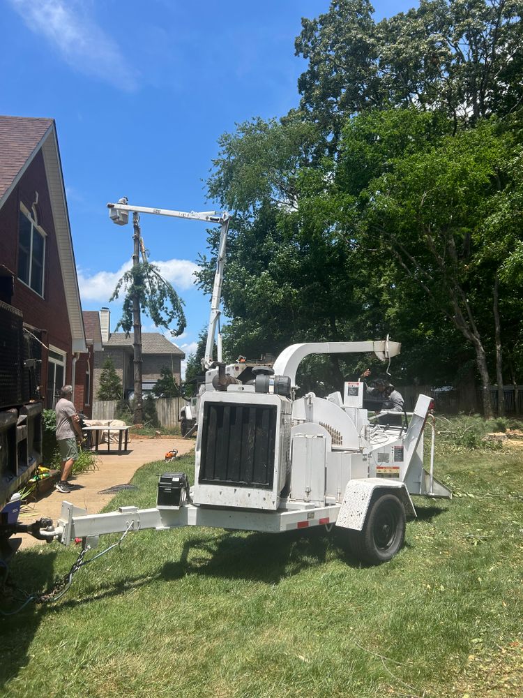 All Photos for Optimum Tree Service And Landscaping in Bowling Green, KY